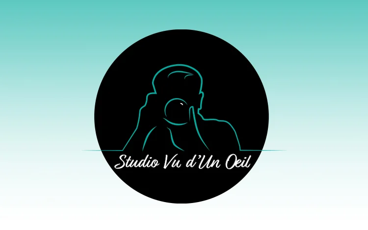 main logo of studio vu d'un oeil