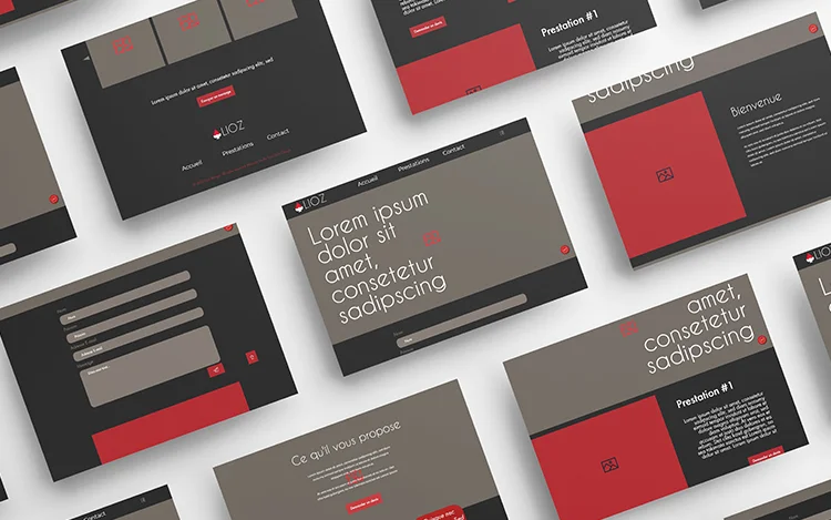 Lioz website wireframe mockup